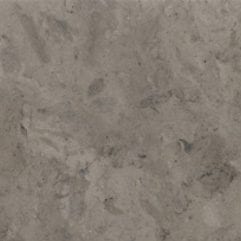 Grey Stone by Petra Stones, stone