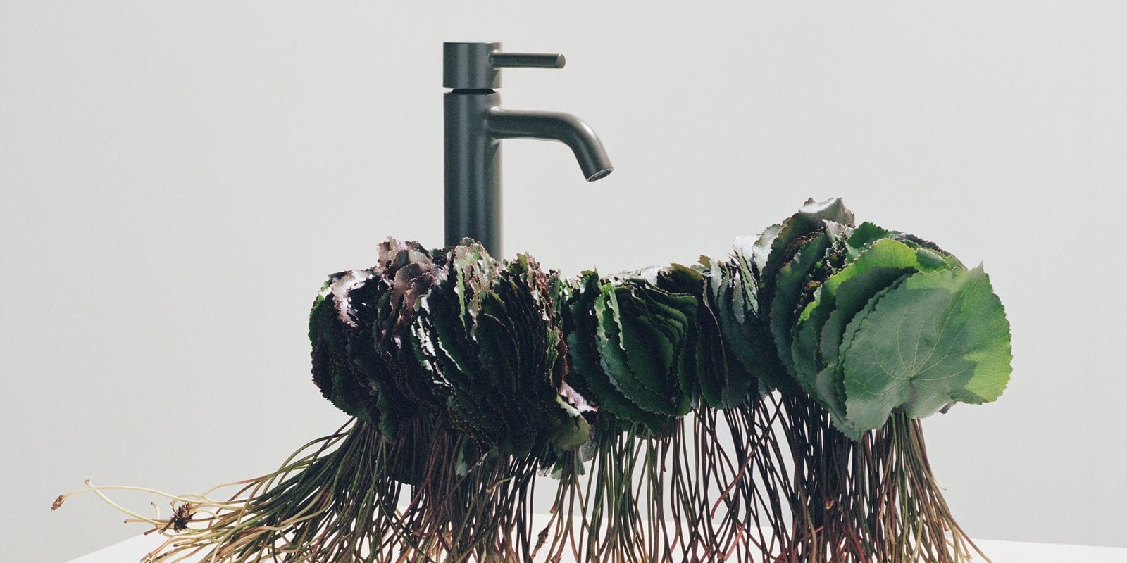 Pan S by Zucchetti, taps